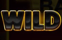 3 coins hold wild 3 coins hold wild